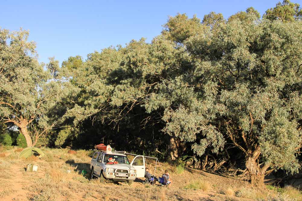 4WD on top of treed bank of Darling River NSW